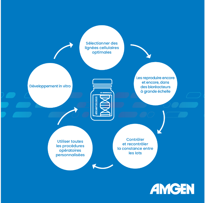 Amgen Médicaments biologiques Explication du processus de la médecine biologique
