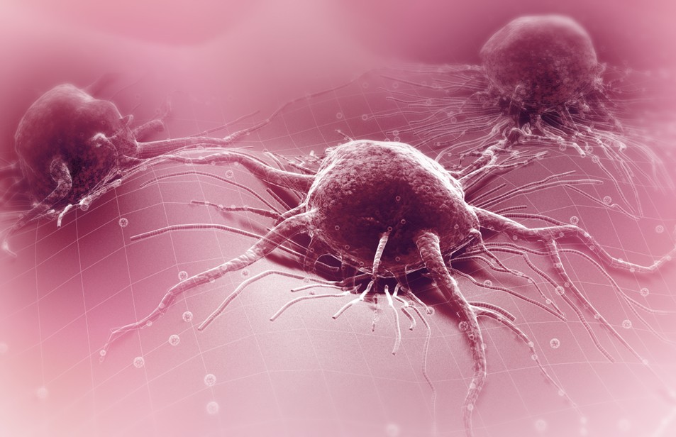 Cancer cells