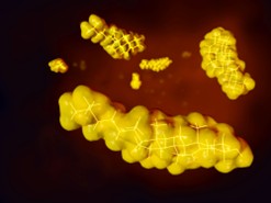 Cholesterol molecules
