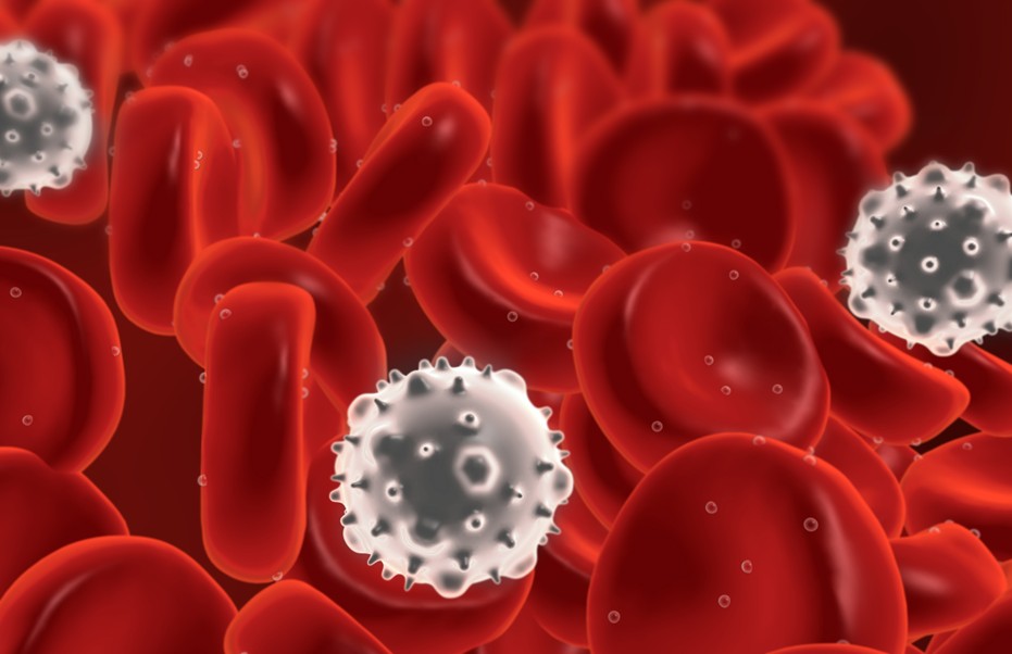 Red and white blood cells